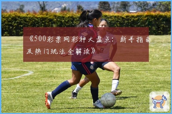 《500彩票网彩种大盘点：新手指南及热门玩法全解读》