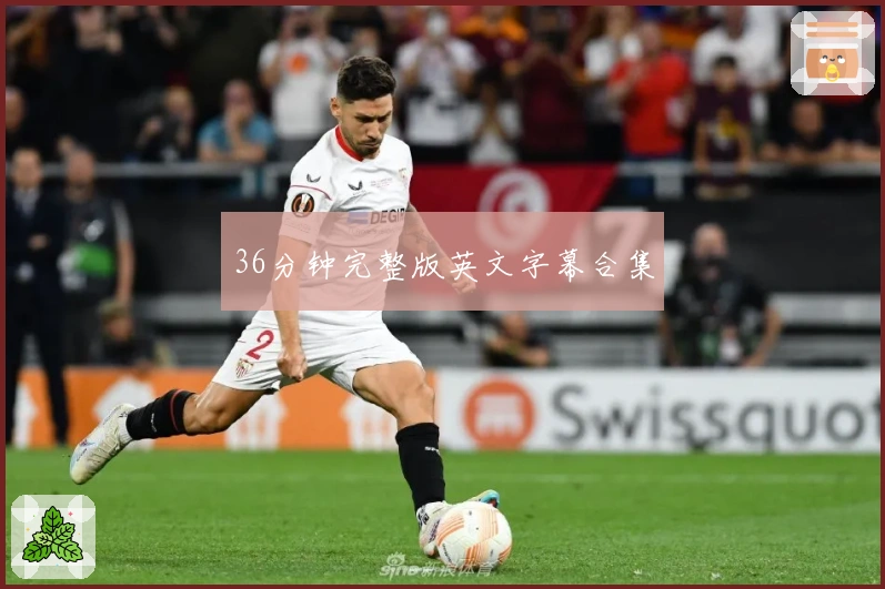 36分钟完整版英文字幕合集