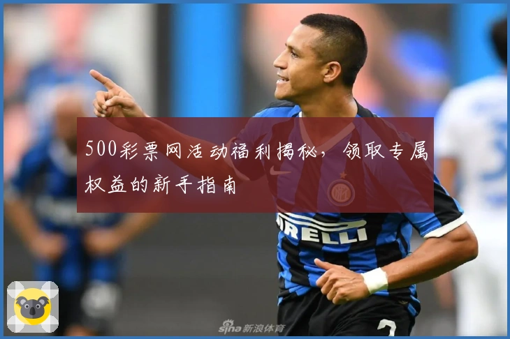 500彩票网活动福利揭秘，领取专属权益的新手指南