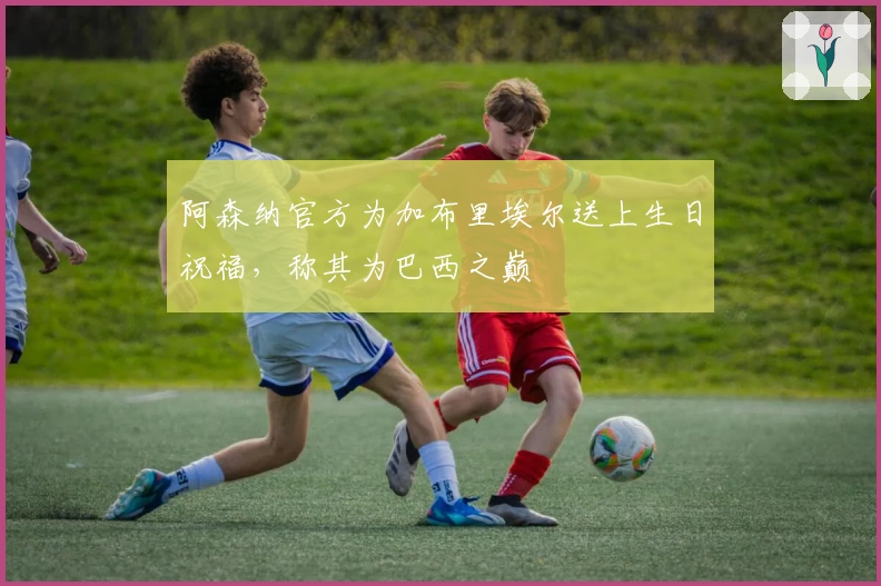 阿森纳官方为加布里埃尔送上生日祝福，称其为巴西之巅