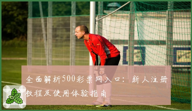 全面解析500彩票网入口：新人注册教程及使用体验指南